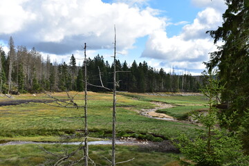Landschaftsfotografie im Harz