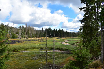 Landschaftsfotografie im Harz