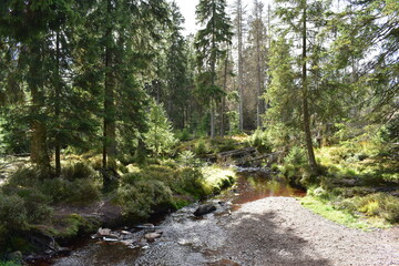 Landschaftsfotografie im Harz