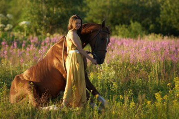 Brown horse sitting on crupper on grass, beautiful woman in yellow dress near horse in among purple flowers