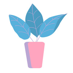 Flat vector icon of indoor plant with big green leaves in pink pot isolated on white background