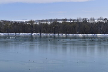 lake view in early spring