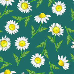 Watercolor seamless pattern with daisies on a green background 