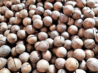 Macadamia nut - the most expensive nut in the world with the taste of ice cream and vanilla flavor