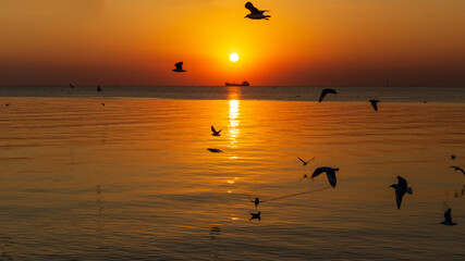 Sunset or evening time with golden sky at sea or ocean with cargo ship and seagull bird flying at Bang poo, Samutprakan, Thailand.