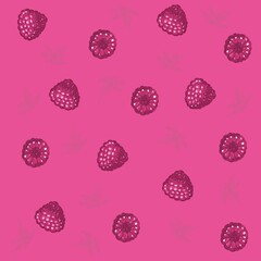 Seamless pattern with raspberry, drawing fruit backgraund