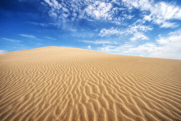 Fototapeta na wymiar Dunes of Thar Desert. Sam Sand dunes