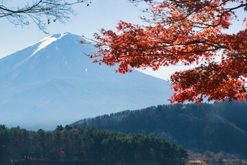 富士山と紅葉
