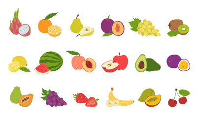 Set of natural fresh tropical and citrus fruits in hand drawn style. Vegan, vegetarian food. Organic food and healthy eating. Set of vector isolated icons illustration