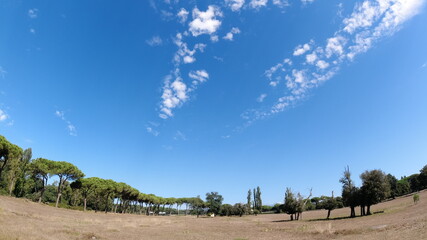 Landschaft in der Toskana