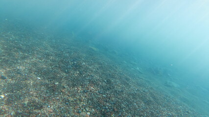 Fototapeta na wymiar Unterwasseraufnahmen