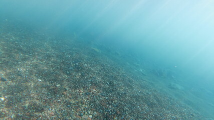 Unterwasseraufnahmen