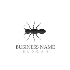 Ant vector illustration design