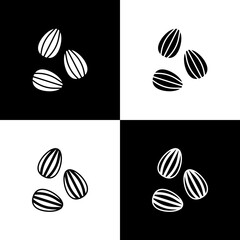 Set Seeds of a specific plant icon isolated on black and white background. Vector