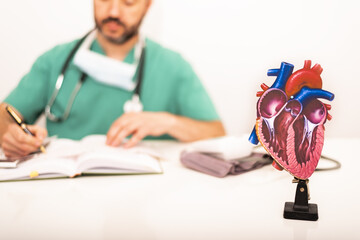 Close-up image of anatomical heart with background of cardiologist working, background out of focus and focus on heart image.