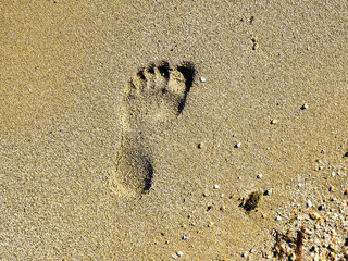 Footprints in the sand