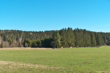 landschaft mit wiese, wald und blauem himmel