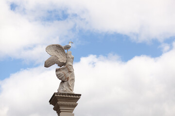 Statue with wings on which sits seagull