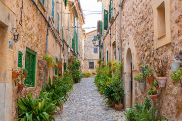 Fototapeta na wymiar Beautiful streets with plants in the village of Valldemossa in the Sierra de Tramuntana. Palma de Mallorca, Spain (Perfect for Copyspace)