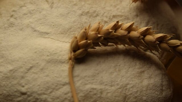 Lievito ft0212_0642 Levure