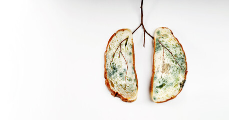 Lung Cancer. Unhealthy Pulmonary Disease created by Expired Bread with full of Mold and Dry branch....