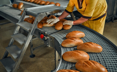 Bread bakery food factory production with fresh products. Automated production of bakery products....