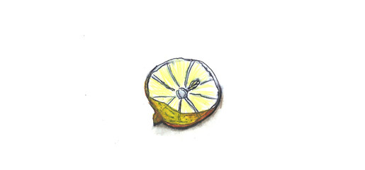 lemon fruit sketch, drawn in watercolor art