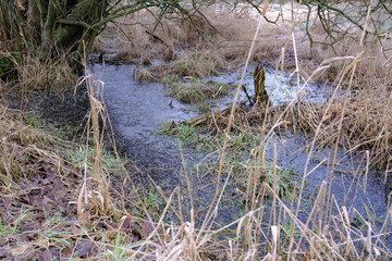 Natürlich entstandener Wassergraben auf einer Wiese
