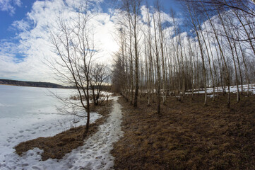 The shore of a frozen lake in early spring. Bare trees grow in rows on the shore. The sun shines through the clouds in the blue sky.