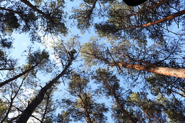 sunny day