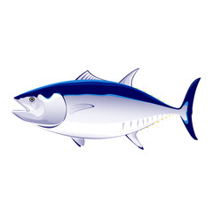 Bluefin tuna isolated on white background. Vector illustration of aquatic animals.