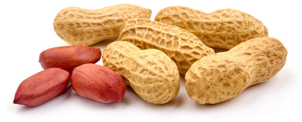 Useful peanut, isolated on white background. High resolution image