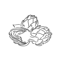 vector set of engraving illustration green vegetables artichoke on white background