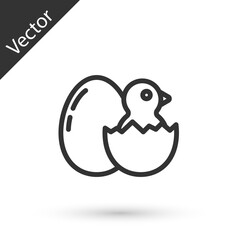 Grey line Little chick in cracked egg icon isolated on white background. Vector