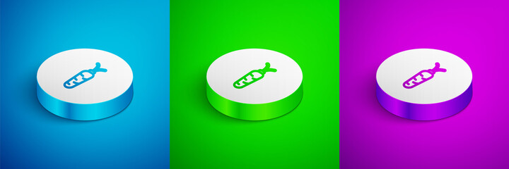 Isometric line Carrot icon isolated on blue, green and purple background. White circle button. Vector