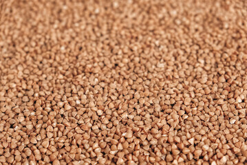 Buckwheat as a background texture. Top view. Copy, empty space for text