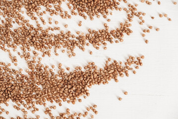 Buckwheat is randomly scattered on a white background. Top view. Copy, empty space for text