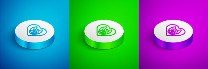 Isometric line Heart with cat icon isolated on blue, green and purple background. Love to the animals. White circle button. Vector