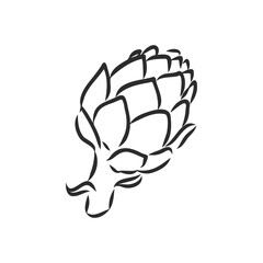 vector set of engraving illustration green vegetables artichoke on white background