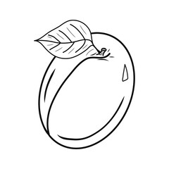 Illustration of creative contour apricot icon. Idea for decors, logo, gifts, ornaments, celebrations, invitation, greeting, meeting, spring holidays, nature and fruit themes. Vegetarian. Isolated. 