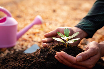 The young man planted trees in the garden as the Earth Day. To solve the problem of global warming...