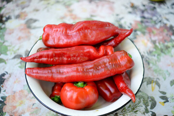 
Red pepper of different varieties - chili, hot, ratunda, bulgarian