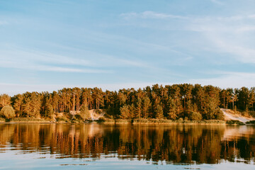 Lielupe river banks with a pine tree forest on the shore that is illuminated by the sunset sun