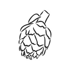 vector set of engraving illustration green vegetables artichoke on white background