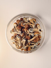 Psilocybin mushrooms in glass storage jar on powder pink background. Psychedelic magic mushroom Golden Teacher. Medical usage. Microdosing concept.