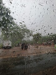 rain water on the car window