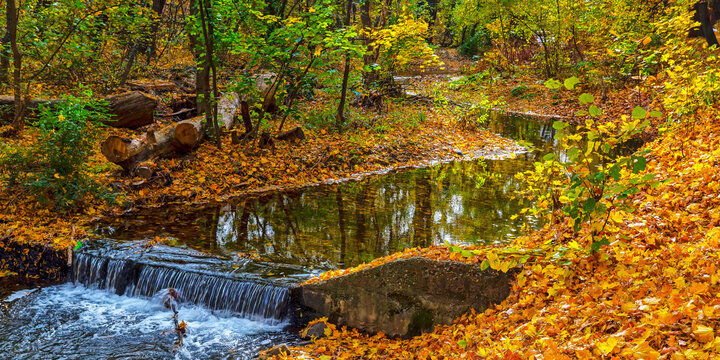 Amazing Autumn View Of Perlovska Reka River, Sofia, Bulgaria