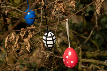 Ostereier in einer Hecke