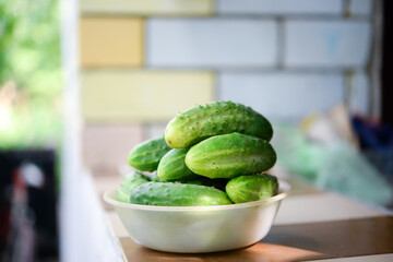 Ripe small cucumbers in a plate