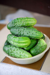 Ripe small cucumbers in a plate
